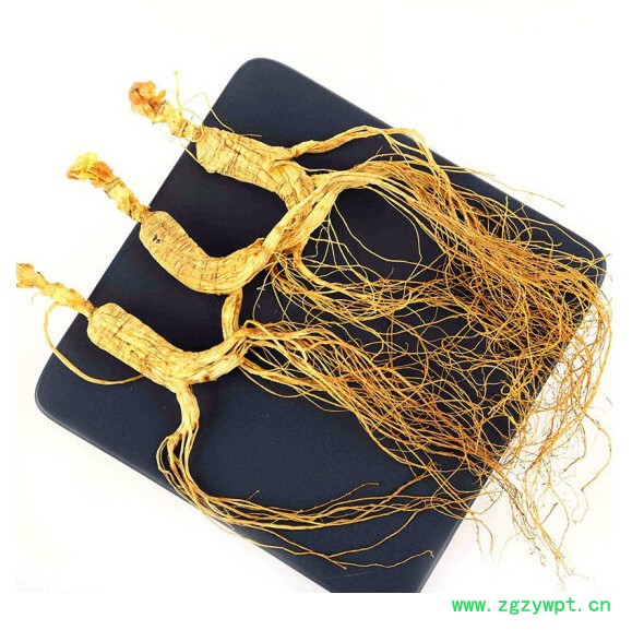 中国东北山参鹿茸礼盒趴货野山参林下参煲鸡汤图2