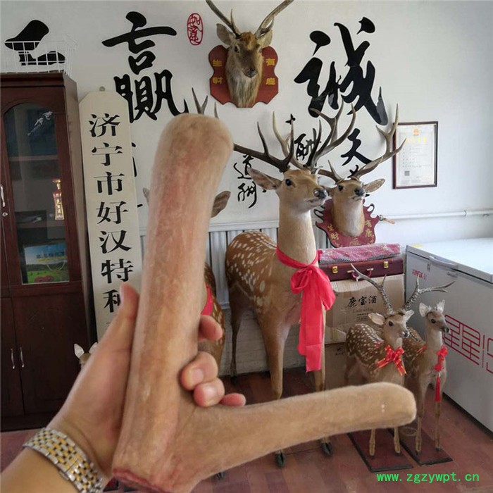 好汉养鹿场 鹿茸片厂家 **茸的价格图5