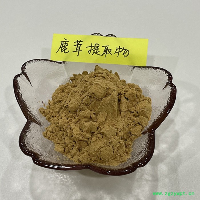 金萃坊厂家现货供应 鹿茸提取物10：1  鹿茸萃取物图2