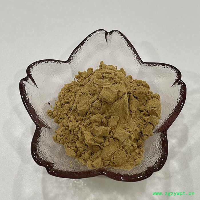 金萃坊厂家现货供应 鹿茸提取物10：1  鹿茸萃取物图3