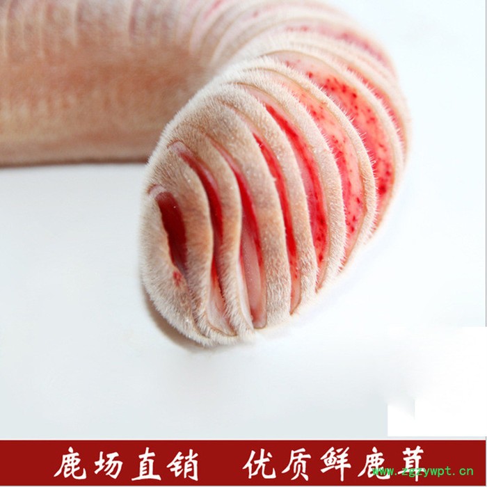 吉林鹿茸价格,鹿茸500克价格,东北鹿茸片图2