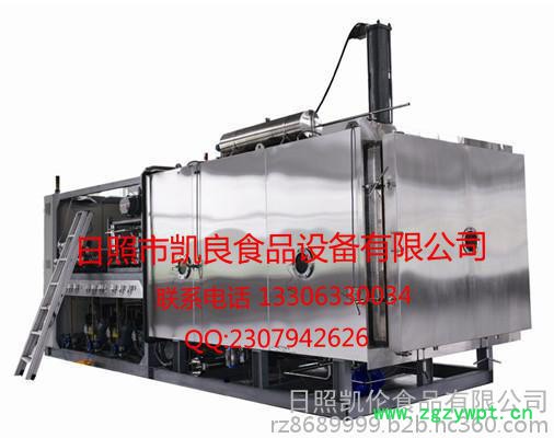 鹿茸节能型冻干机图2