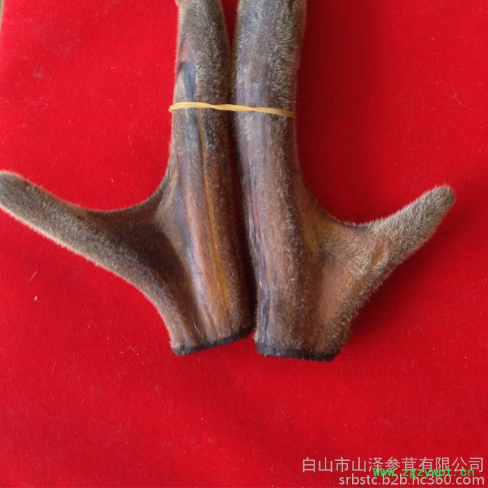 东北长白山特产鲜**鹿茸角鹿茸血酒男性滋补膏酒 礼盒包邮100g/根图3