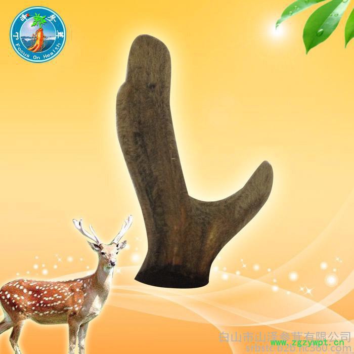 东北长白山特产鲜**鹿茸角鹿茸血酒男性滋补膏酒 礼盒包邮100g/根图2