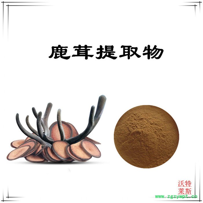 沃特莱斯 鹿茸提取物10:1  速溶鹿茸粉图3