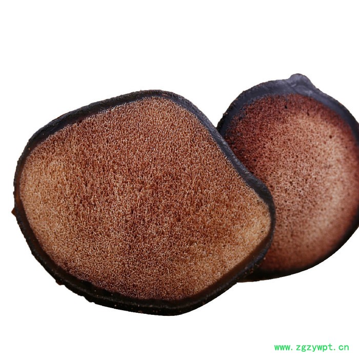 吉林鹿茸片鹿鹿茸马鹿鹿茸 东丰鹿茸片新鲜鹿茸图2