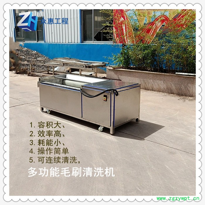 众惠800  人参鹿茸黄精多功能毛刷清洗机304不锈钢   大型图4