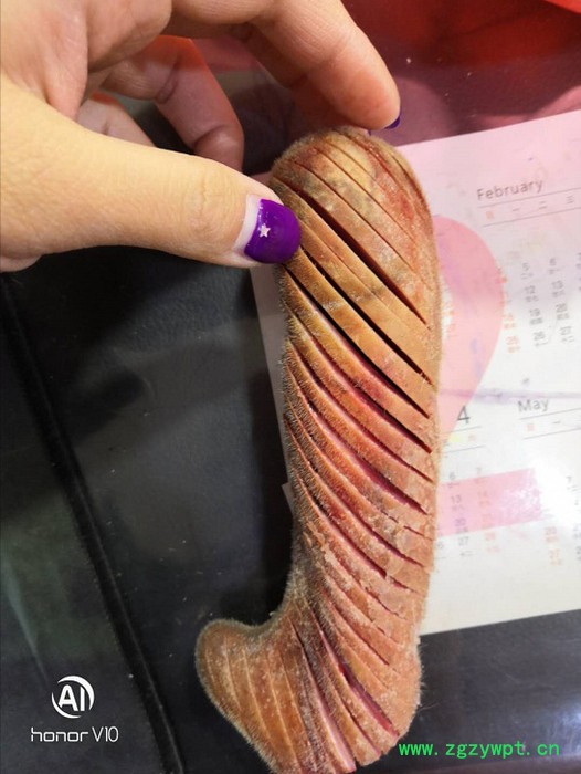 整枝鲜鹿茸连刀切好的产地吉林长白山鲜鹿茸整枝鹿乡双阳正宗新鲜切血片礼盒装包装送礼特产东北吉林长白山男性泡酒料药材头茬二杠图5