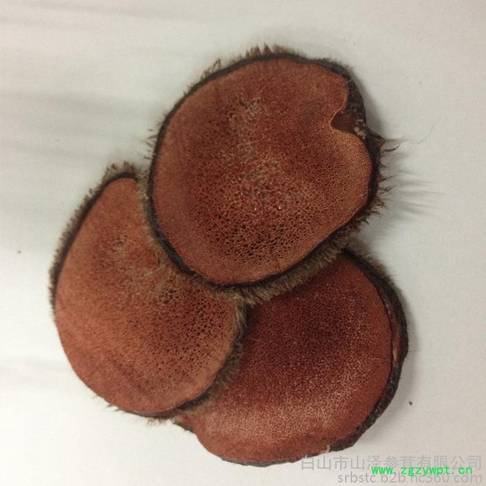 东北长白山特产鹿茸片鹿茸血**切片干货煲汤泡酒料 礼盒滋补养生包邮10g/件