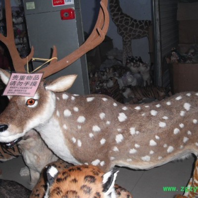 超仿真动物模型**真皮仿真皮长颈鹿鹿茸鹿鞭办公室内装饰装潢