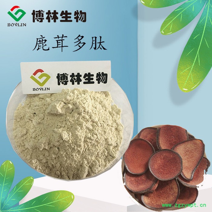 鹿茸多肽90% 鹿茸提取物 鹿茸肽 鹿茸粉 博林生物图3