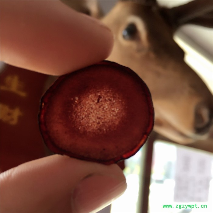 吉林鹿茸片多钱,鹿茸副角片,鲜鹿茸泡酒图3