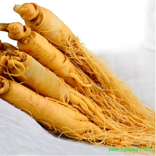 鲜参木盒 鲜人参鹿茸煲鸡 产地大量图3