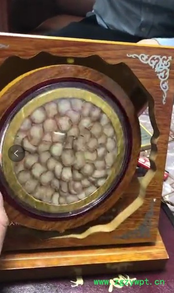 鹿鞭片鹿茸片礼盒人参鹿鞭片男用男性滋补品丸黑松露牡蛎滋补品定制双阳吉林鹿乡镇送礼煲汤泡水泡酒枸杞人参可搭鹿茸鹿鞭膏保健品图2