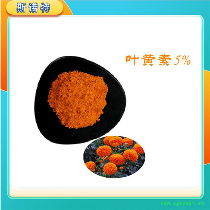 天冬提取物 浓缩 天冬粉 随货带检测报告图3