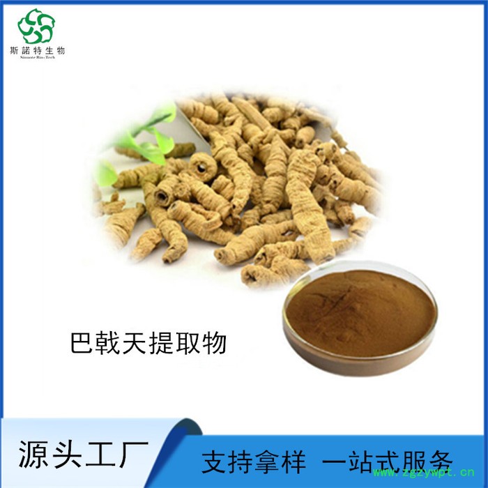 天冬提取物 浓缩 天冬粉 随货带检测报告图6