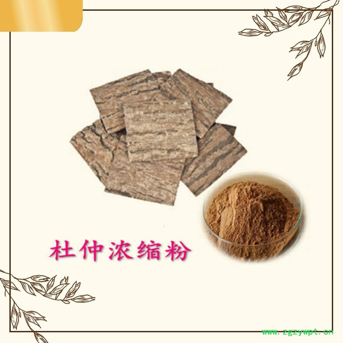 天冬提取物 浓缩 天冬粉 随货带检测报告图7