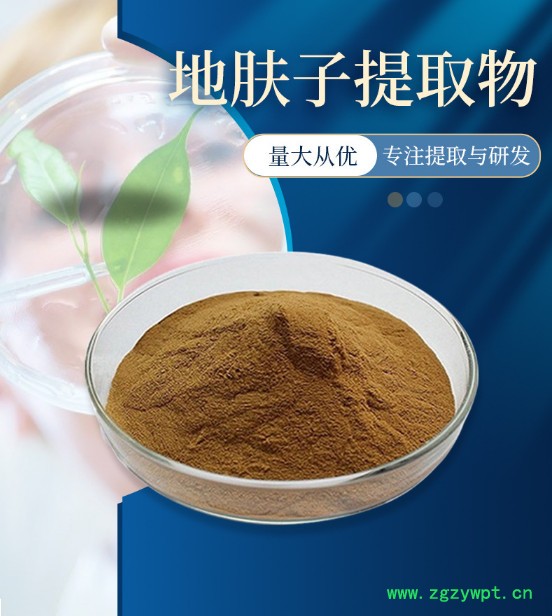 独活提取物 10 1    独活粉 独活草提取物图5