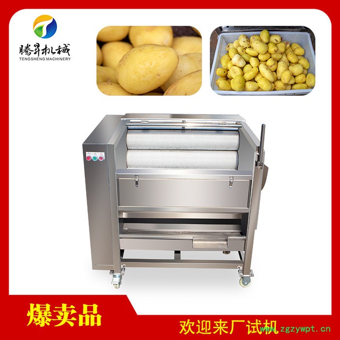 腾昇TS-M300**瓜果毛辊清洗脱皮机  山芋清洗脱皮机 **不锈钢天冬去皮机
