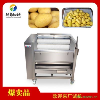 腾昇TS-M300**瓜果毛辊清洗脱皮机  山芋清洗脱皮机 **不锈钢天冬去皮机