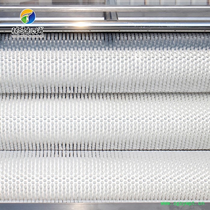 腾昇TS-M300**瓜果毛辊清洗脱皮机  山芋清洗脱皮机 **不锈钢天冬去皮机图4