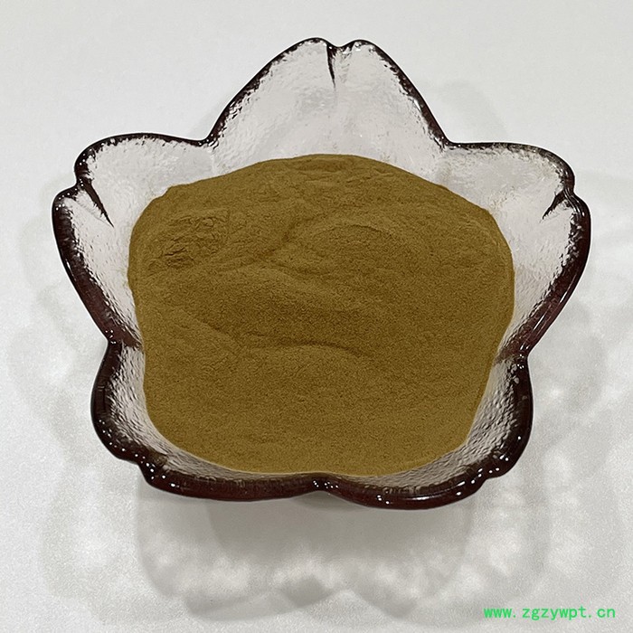 金萃坊 独活萃取物 独活提取物10:1 厂家现货供应图2