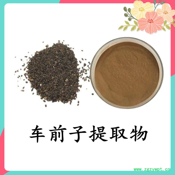 独活提取物 斯诺特 可定制图3