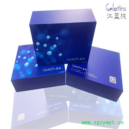 天冬酰胺合成酶ASNS试剂盒图3