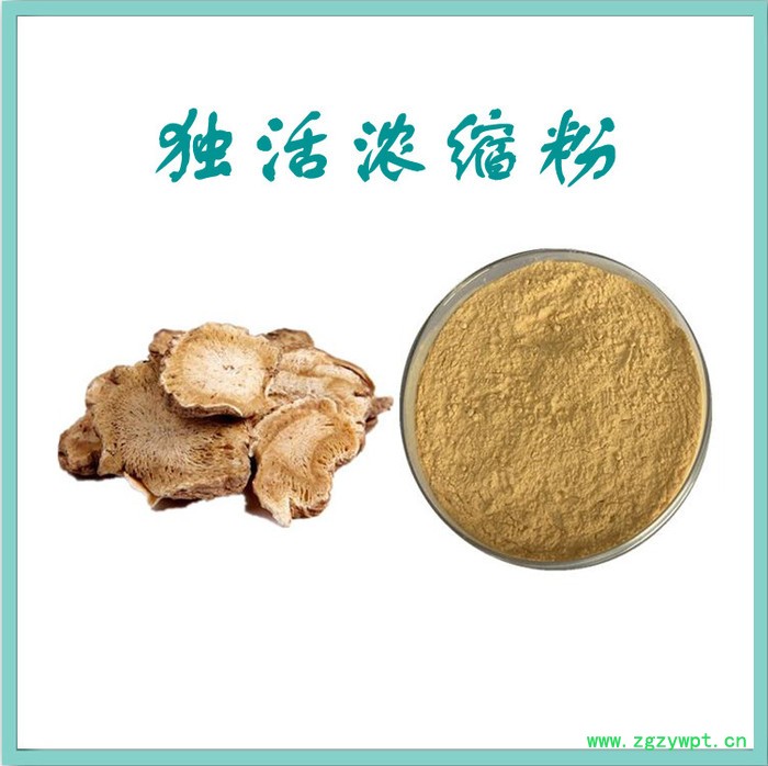 独活粉 水溶 可定制  独活提取物厂家图2