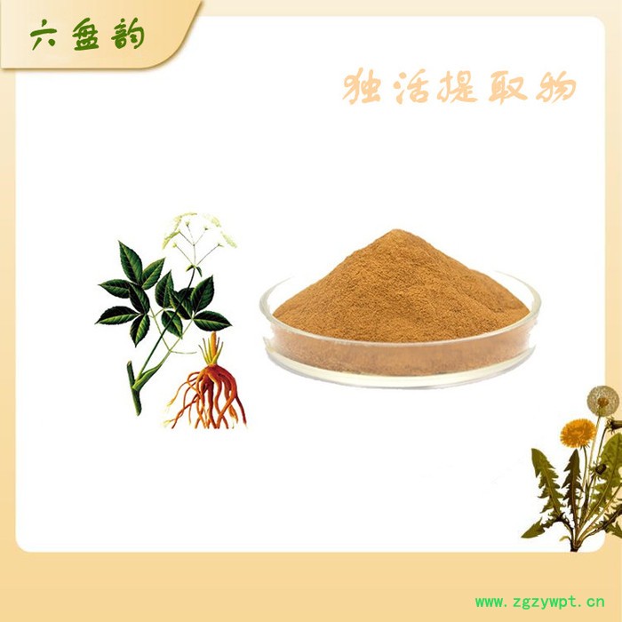 独活浓缩粉 水溶粉 独活提取物 粉末细腻 可定制图2
