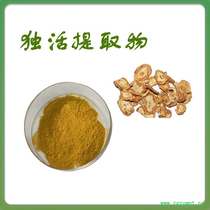 独活粉 水溶 可定制 独活提取物厂家 独活浸膏图2