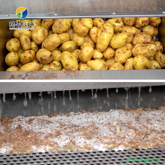 腾昇TS-M600畅销款毛棍清洗去皮机 **不锈钢土豆清洗去皮机 天冬清洗脱皮机 使用方便图5