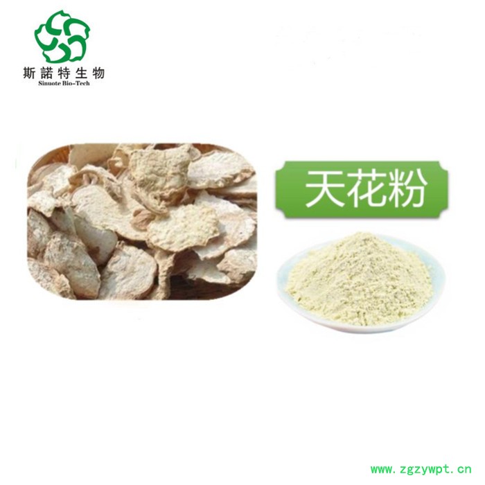 斯诺特 独活提取物 水溶性粉 高倍浓缩提取 食品级原料 资质齐全图4