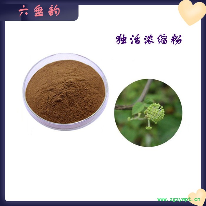 独活提取物 水溶可定制 10:1 可定制图2