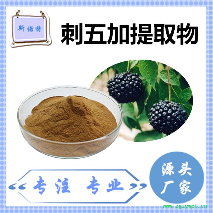 斯诺特 刺五加粉 刺五加速溶粉 厂家供应 包邮图5