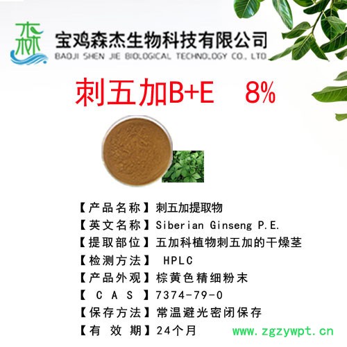 刺五加提取物  刺五加甙B+E   8%  植物提取物图2