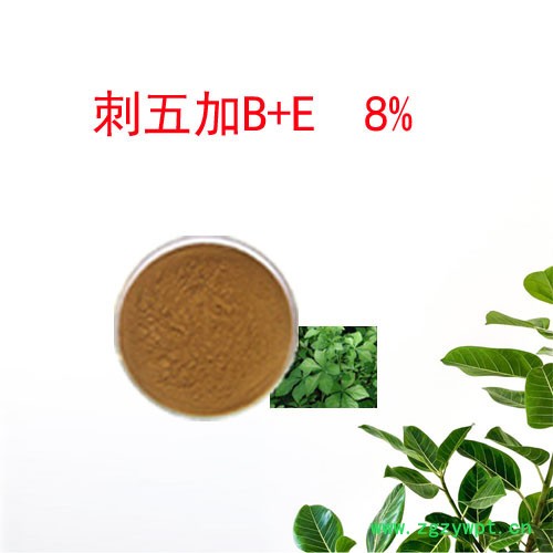 刺五加提取物  刺五加甙B+E   8%  植物提取物图5