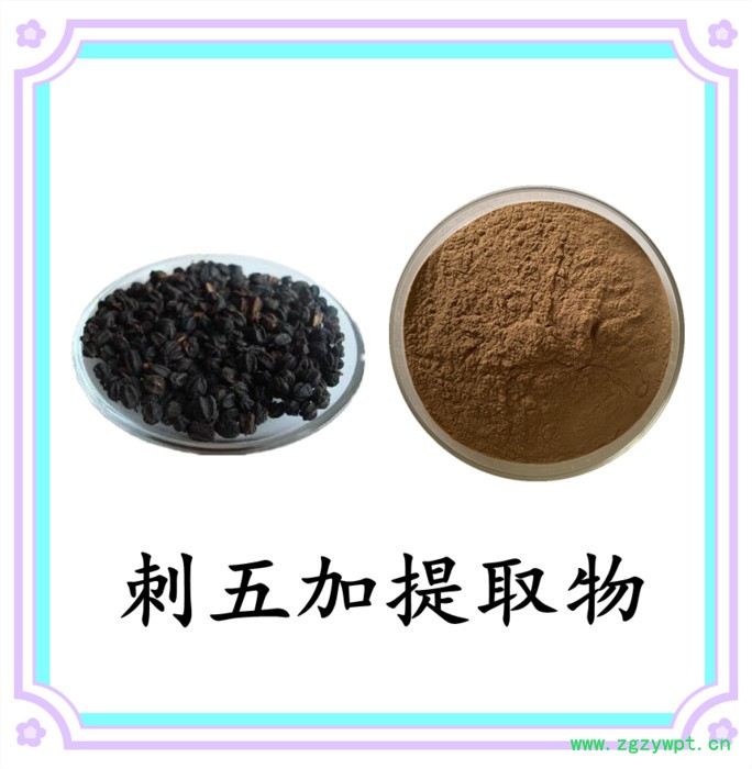 刺五加粉 可定制 六盘韵  水溶 品质保障图7