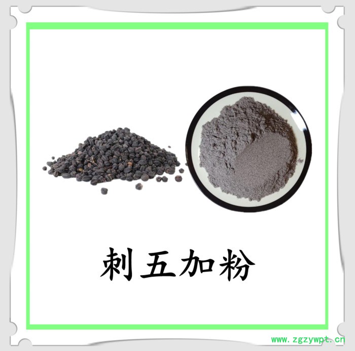 刺五加粉 可定制 六盘韵  水溶 品质保障图8