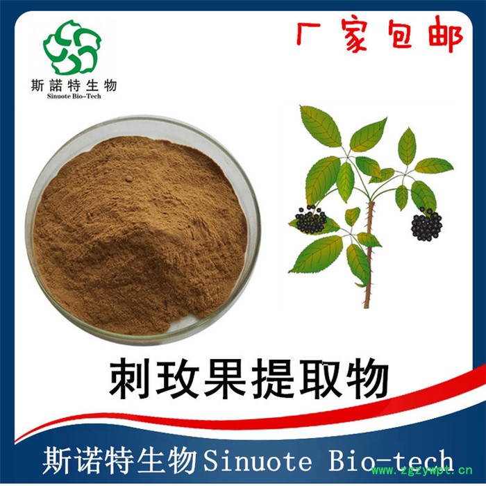 刺五加提取物  刺五加皂甙 水溶性刺五加粉  斯诺特生物图3