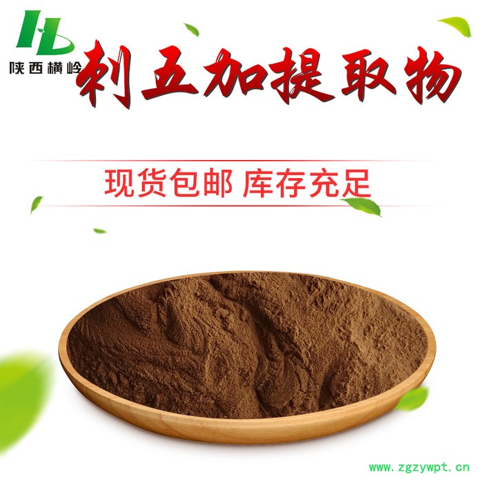 横岭供应 刺五加提取物 刺拐棒提取物 刺五加浓缩粉图3