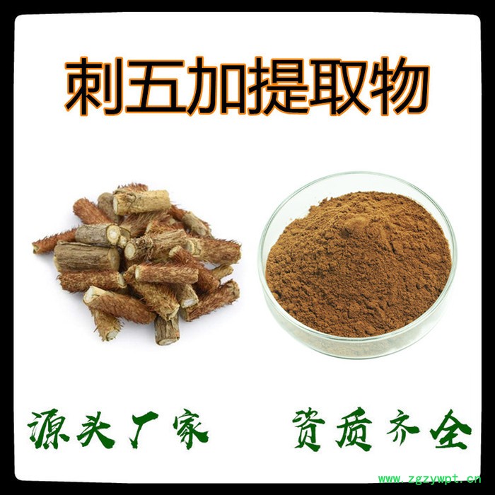 刺五加提取物 刺五加粉 10倍浓缩粉 全水溶 老牌厂家 批发包邮图2