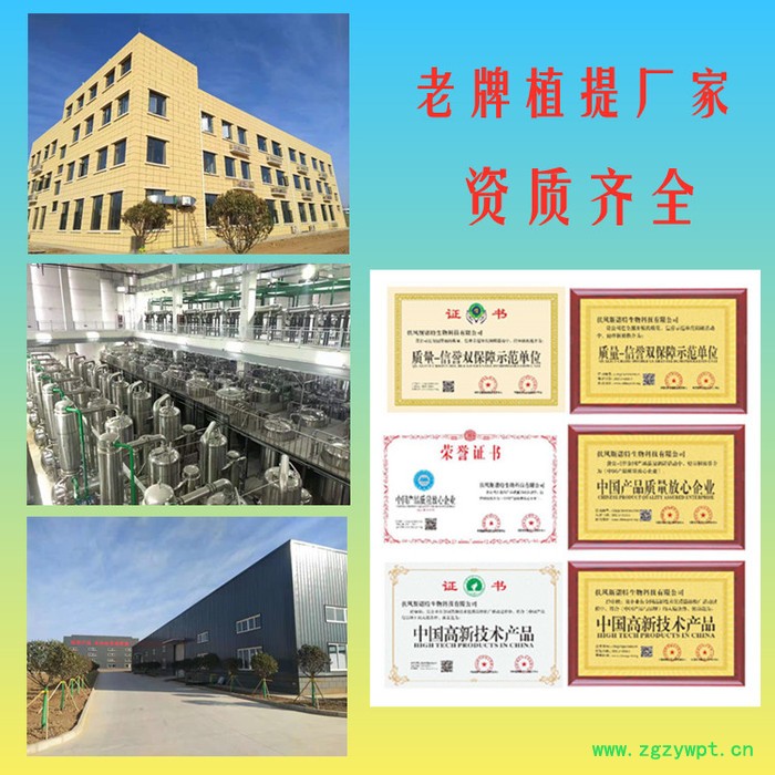 刺五加提取物 刺五加粉 10倍浓缩粉 全水溶 老牌厂家 批发包邮图3