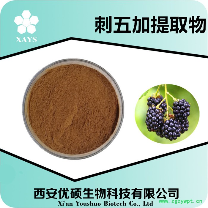 刺五加提取物 刺五加粉 刺五加食品原料 资质齐全厂家包邮西安优硕图4