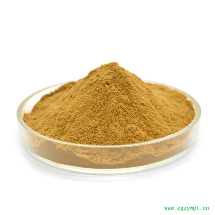 刺五加提取物 刺五加甙0.8% 恒瑞康SC工厂直供 1KG起批图4