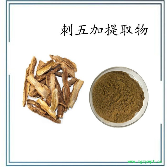刺五加提取物 刺五加浓缩粉 水溶 99% 可定制图3