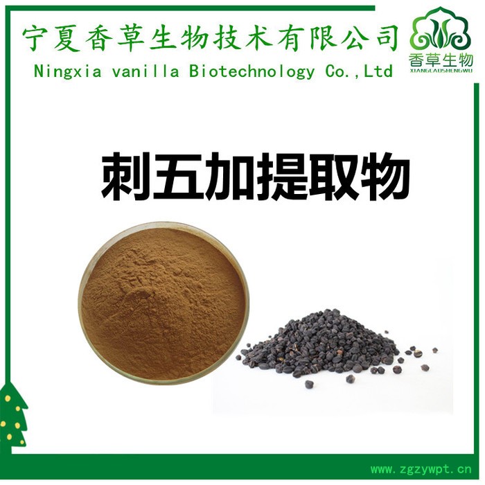 刺五加提取物皂甙0.8% 香草生物供应刺五加粉 刺五加浸膏粉全溶于水图6
