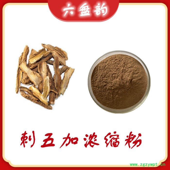 刺五加浓缩粉 水溶 可定制 刺五加提取物厂家图2