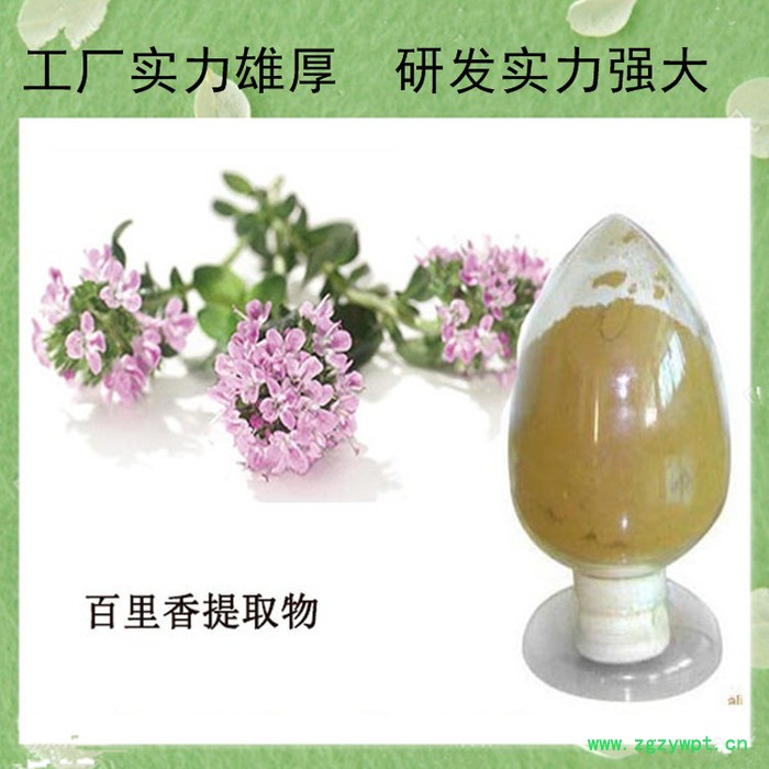 刺五加甙 刺五加提取物 刺五加皂甙5% 水溶性 刺五加粉图4