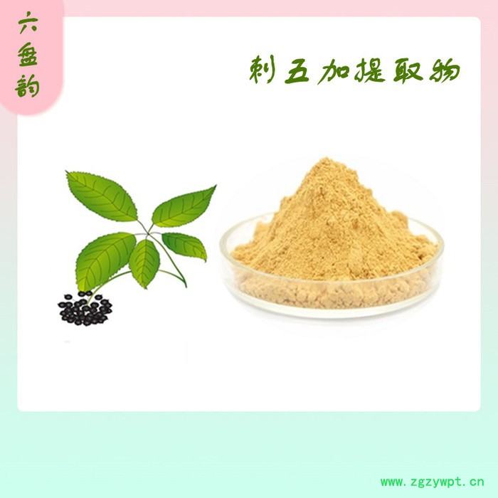 刺五加浓缩粉 刺五加多糖 刺五加粉 六盘韵生物 可定制生产图3